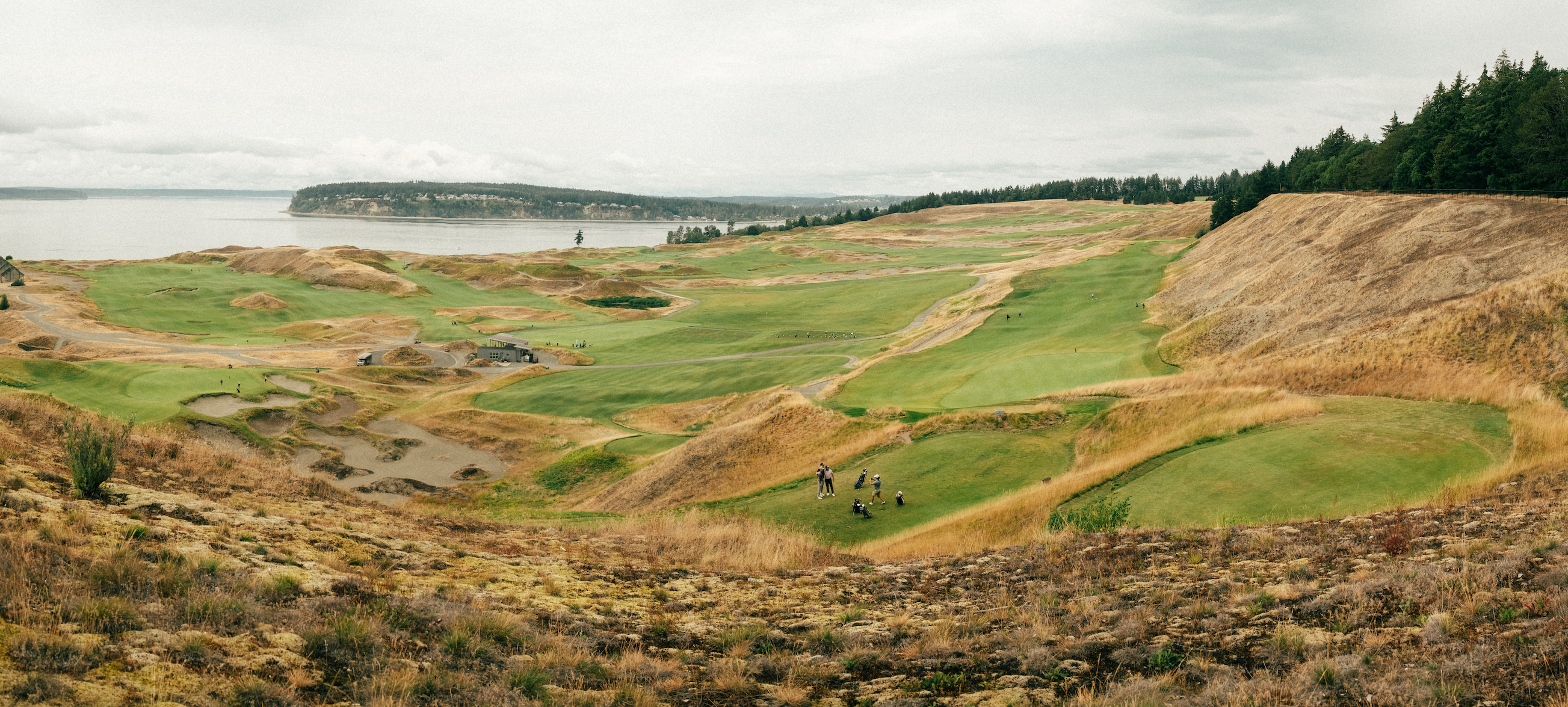 CHAMBERS BAY 01