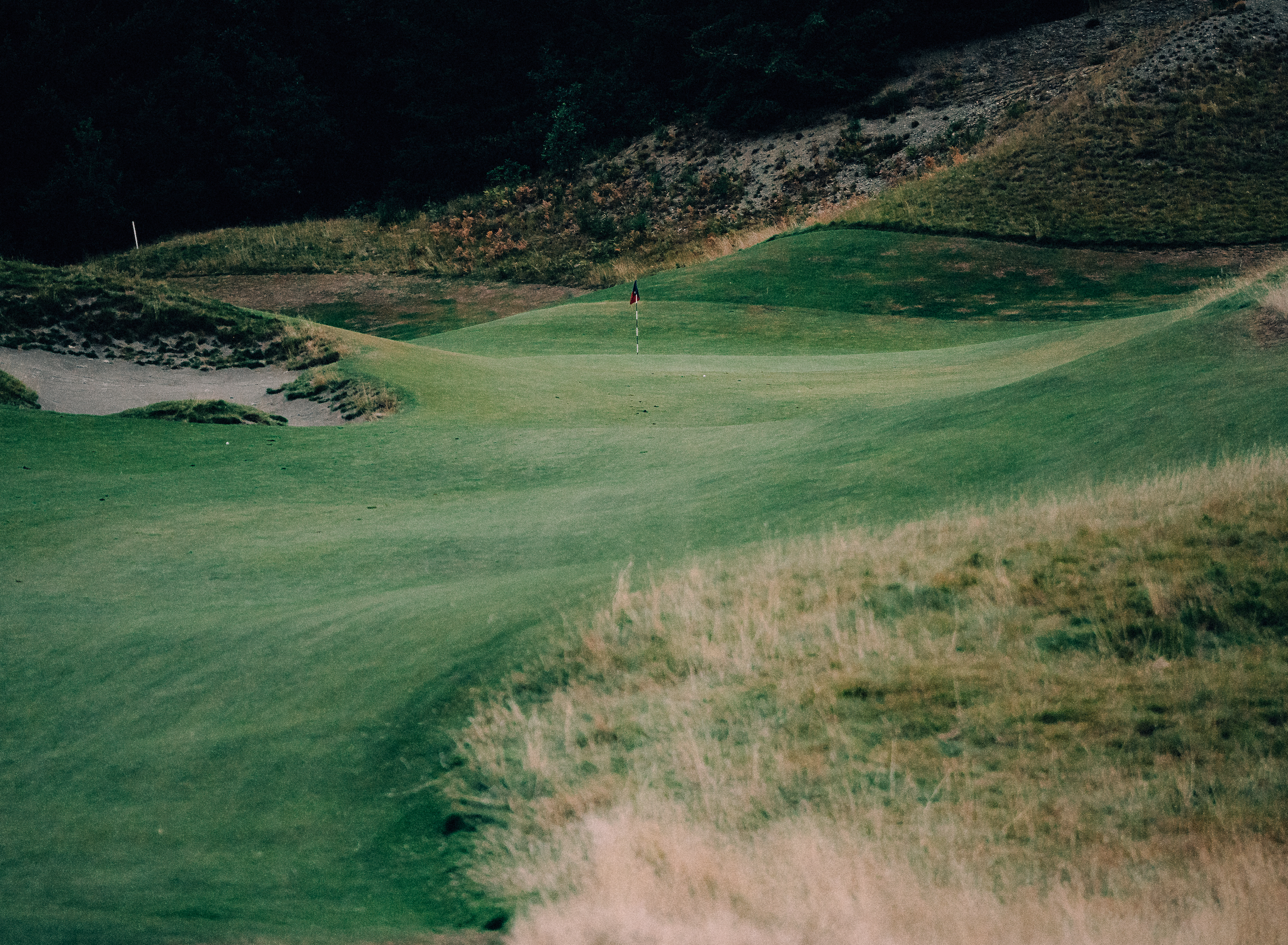 CHAMBERS BAY 03
