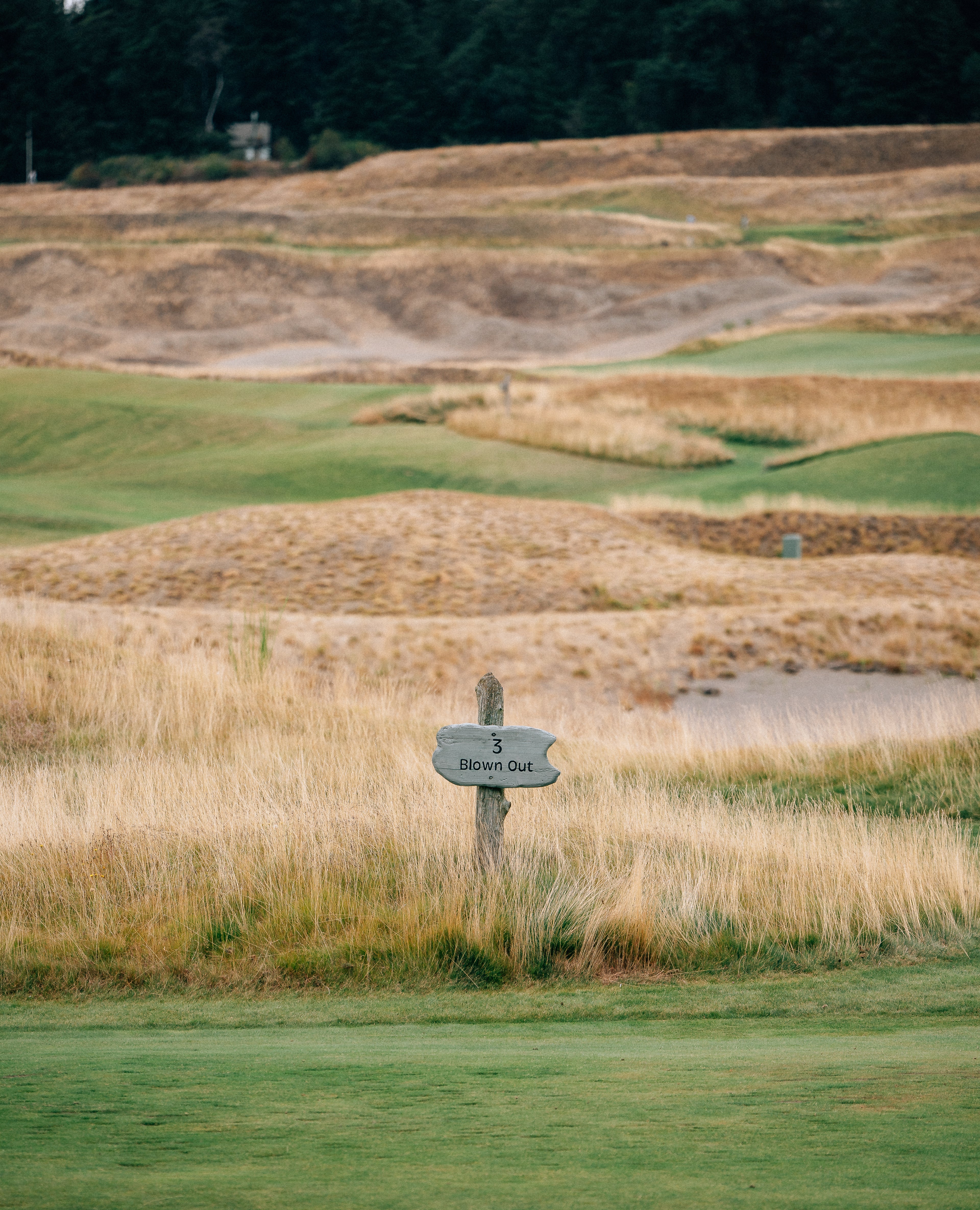 CHAMBERS BAY 08