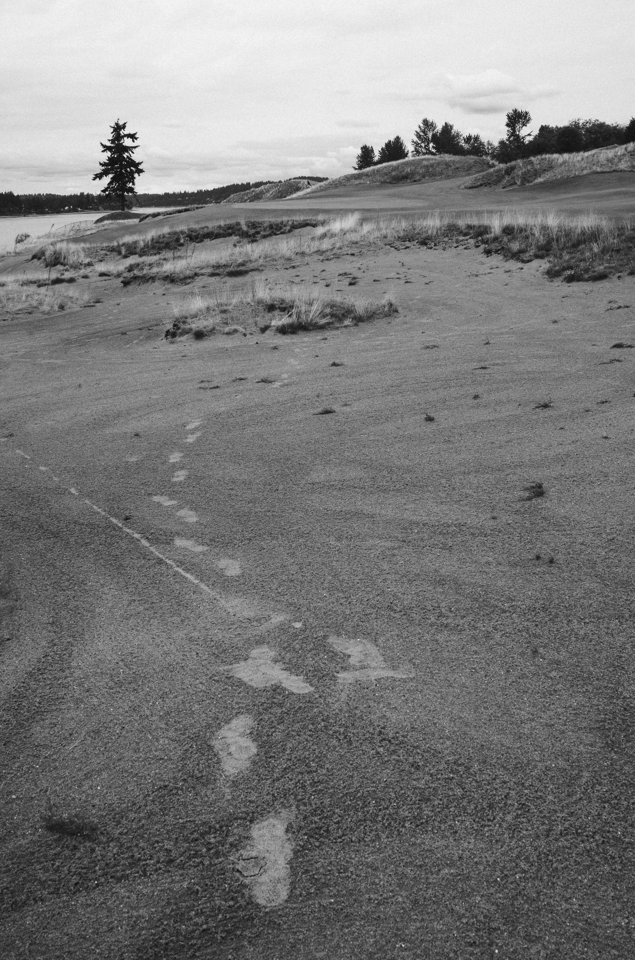 CHAMBERS BAY 11