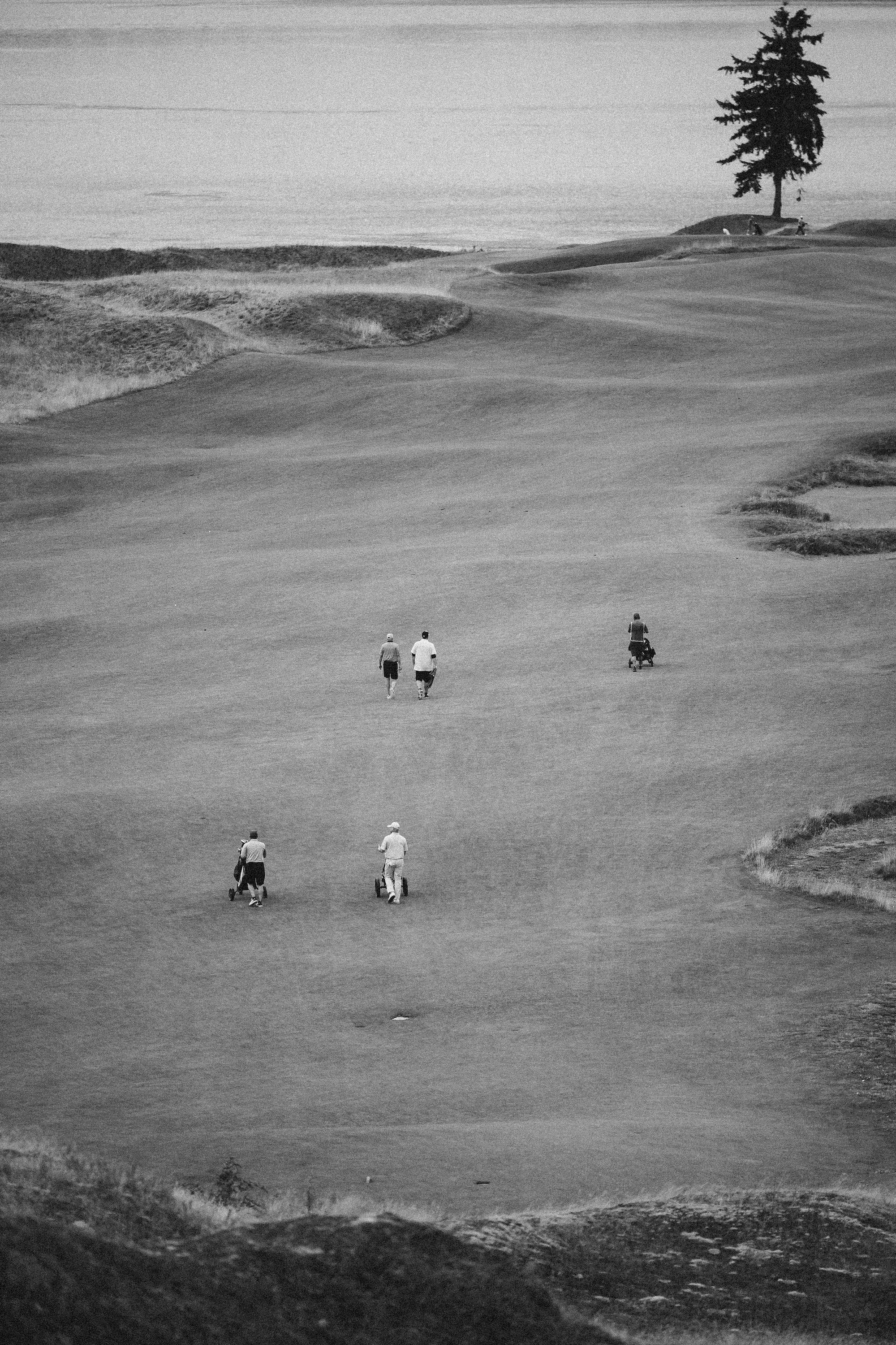 CHAMBERS BAY 12