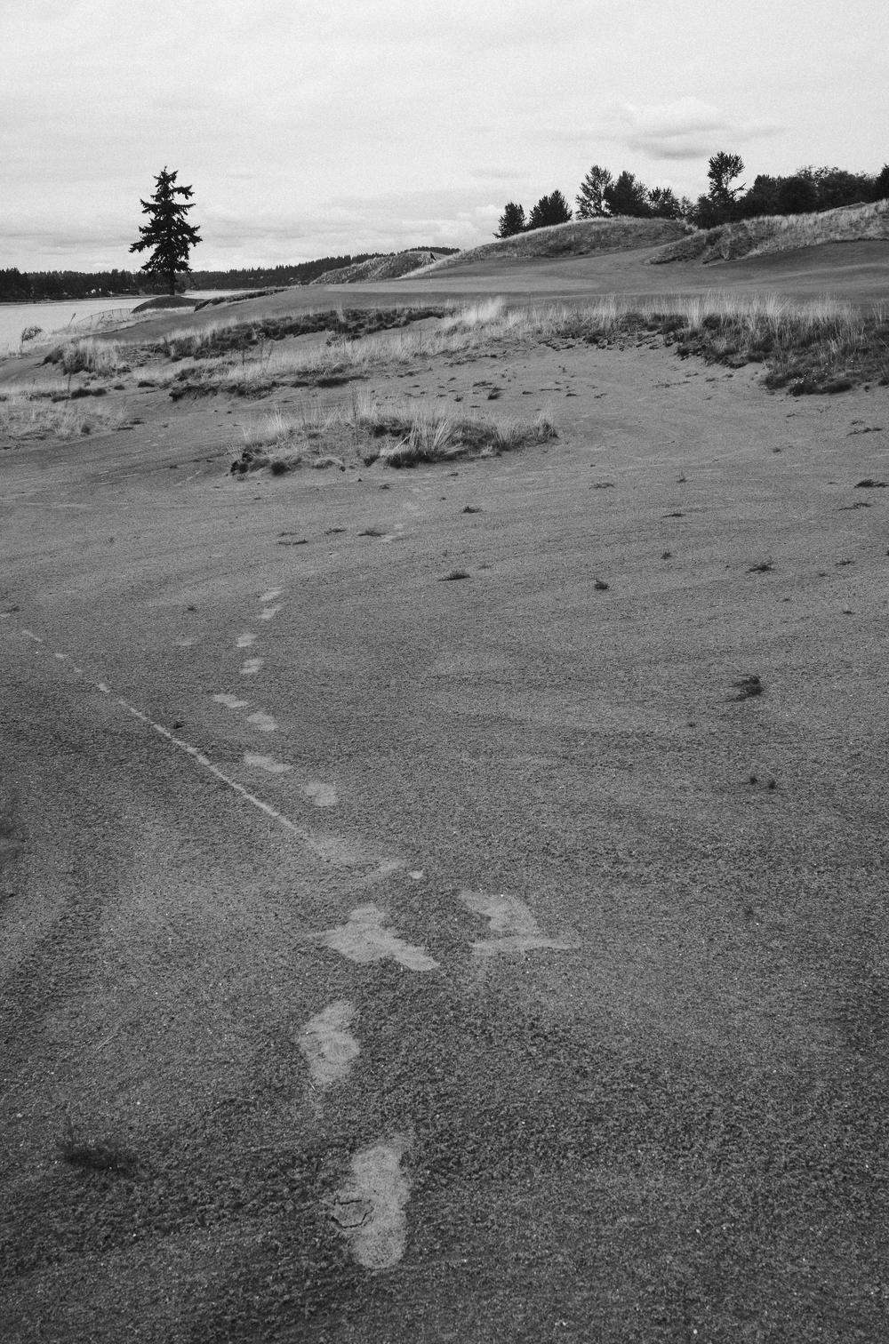 CHAMBERS BAY 11