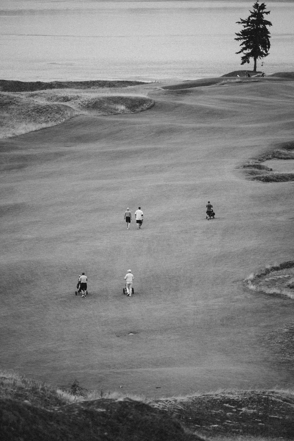 CHAMBERS BAY 12